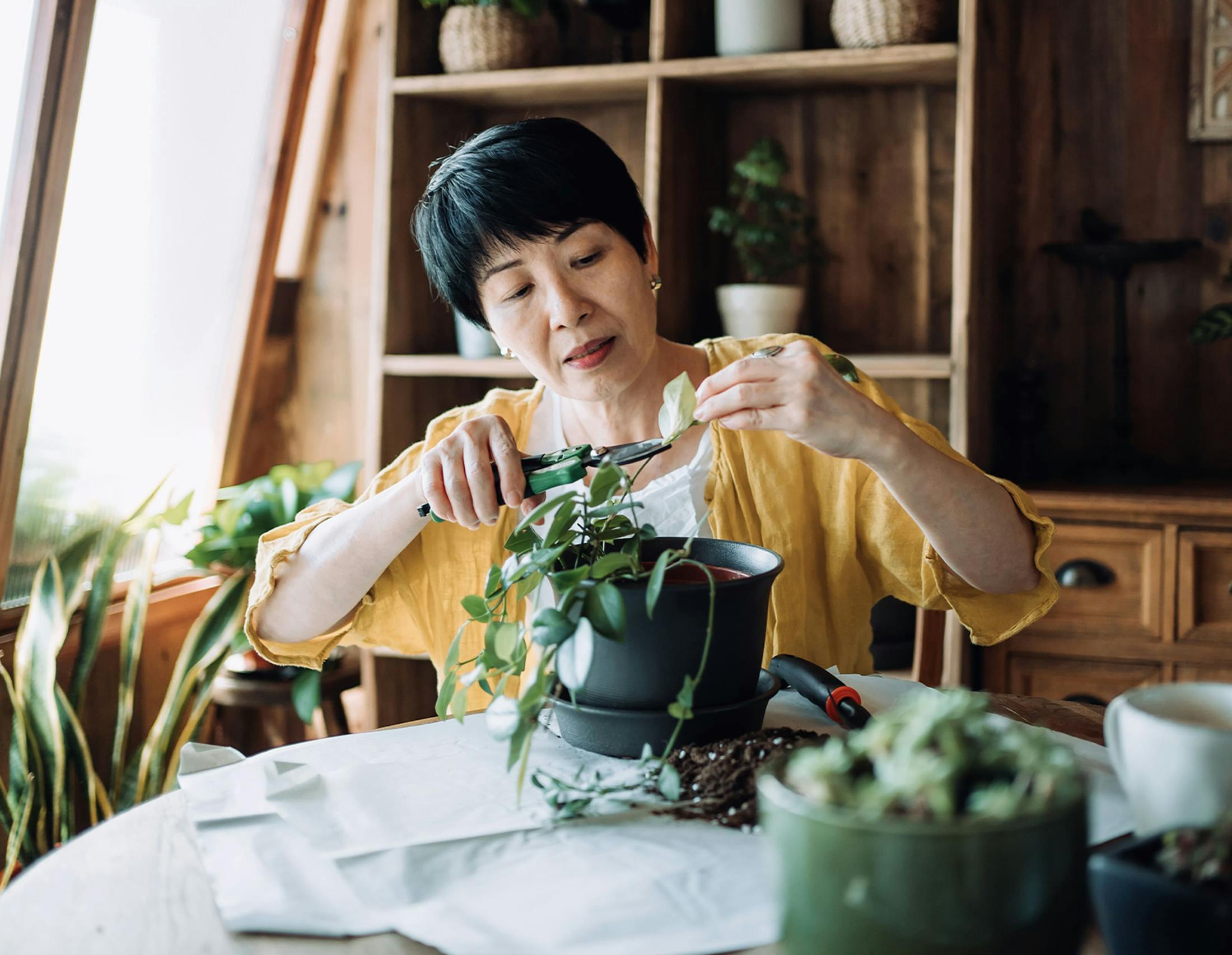 Woman trimming plants