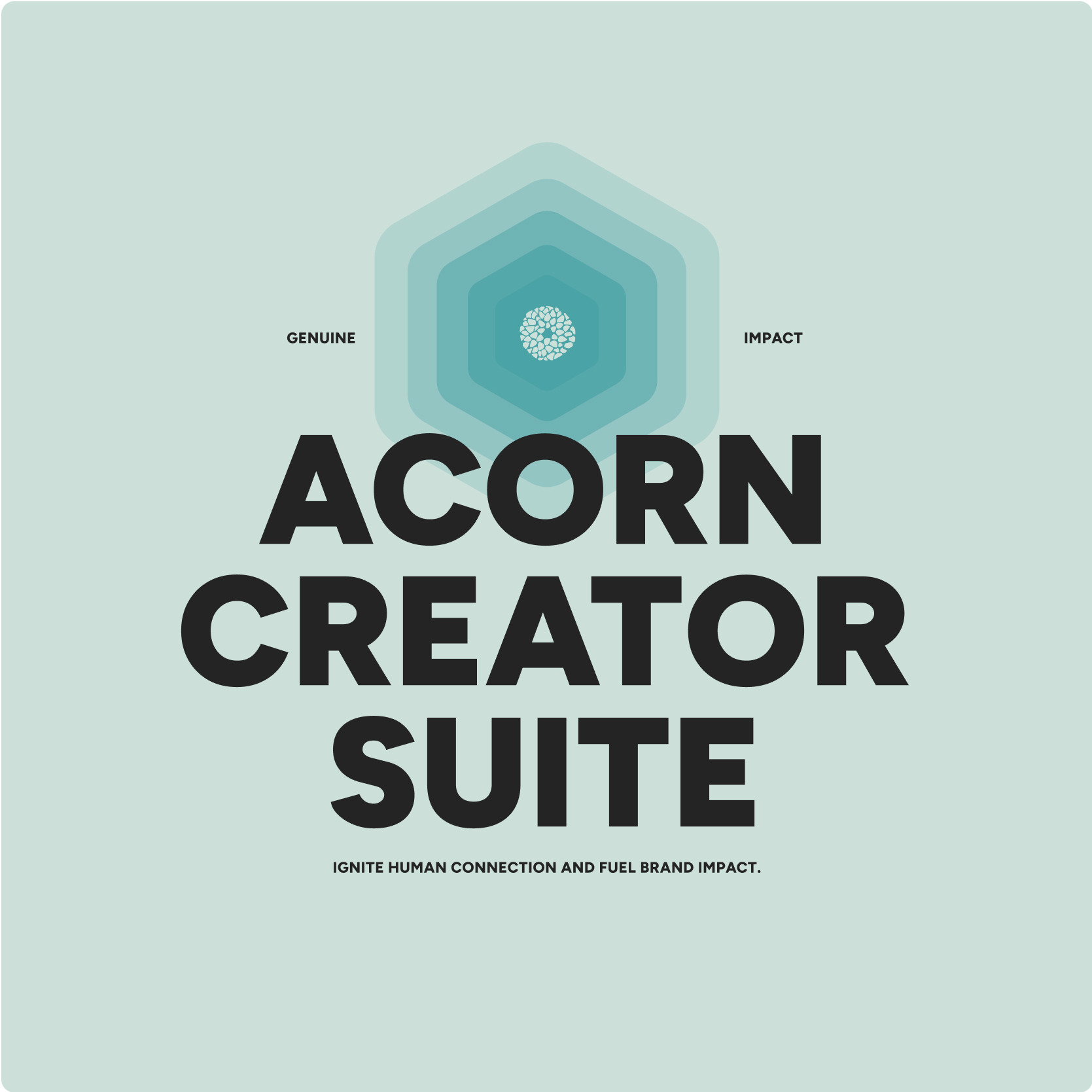 Acorn Creator Suite teal badge with acorn icon and rounded text.