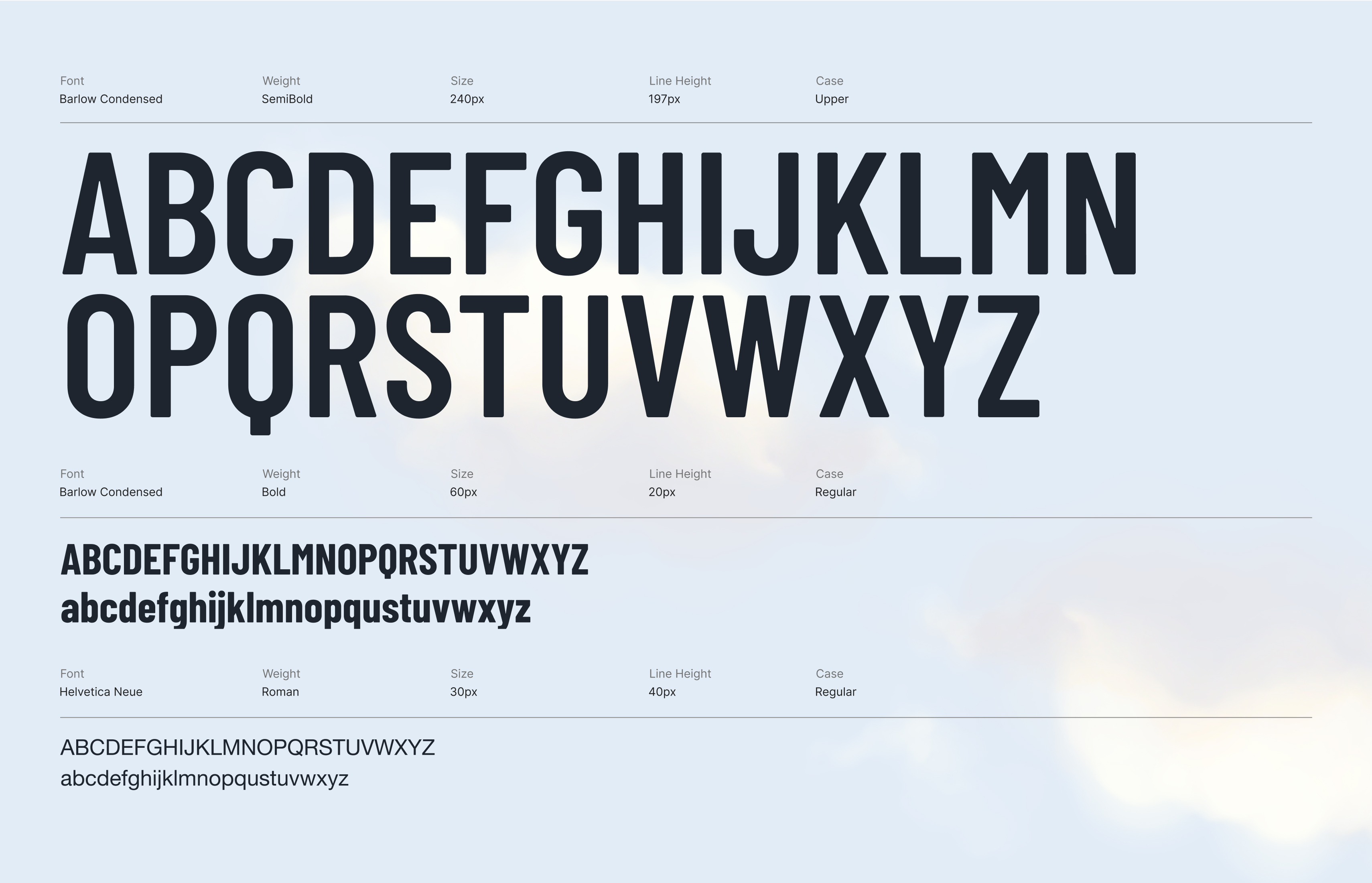 Typography showcase featuring the Everest ERP brand font in a clean, modern layout.
