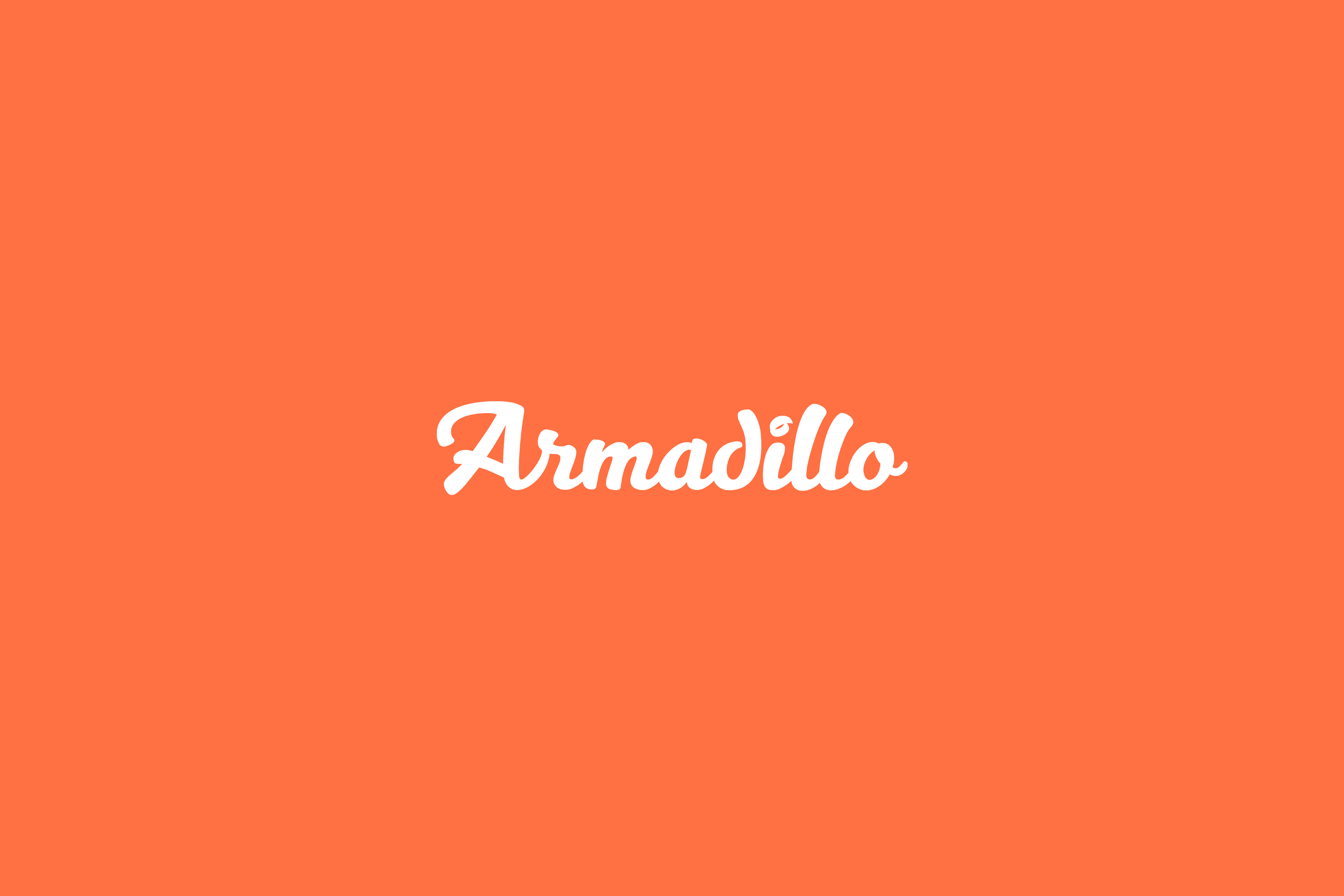Armadillo wordmark displayed on a solid orange background.