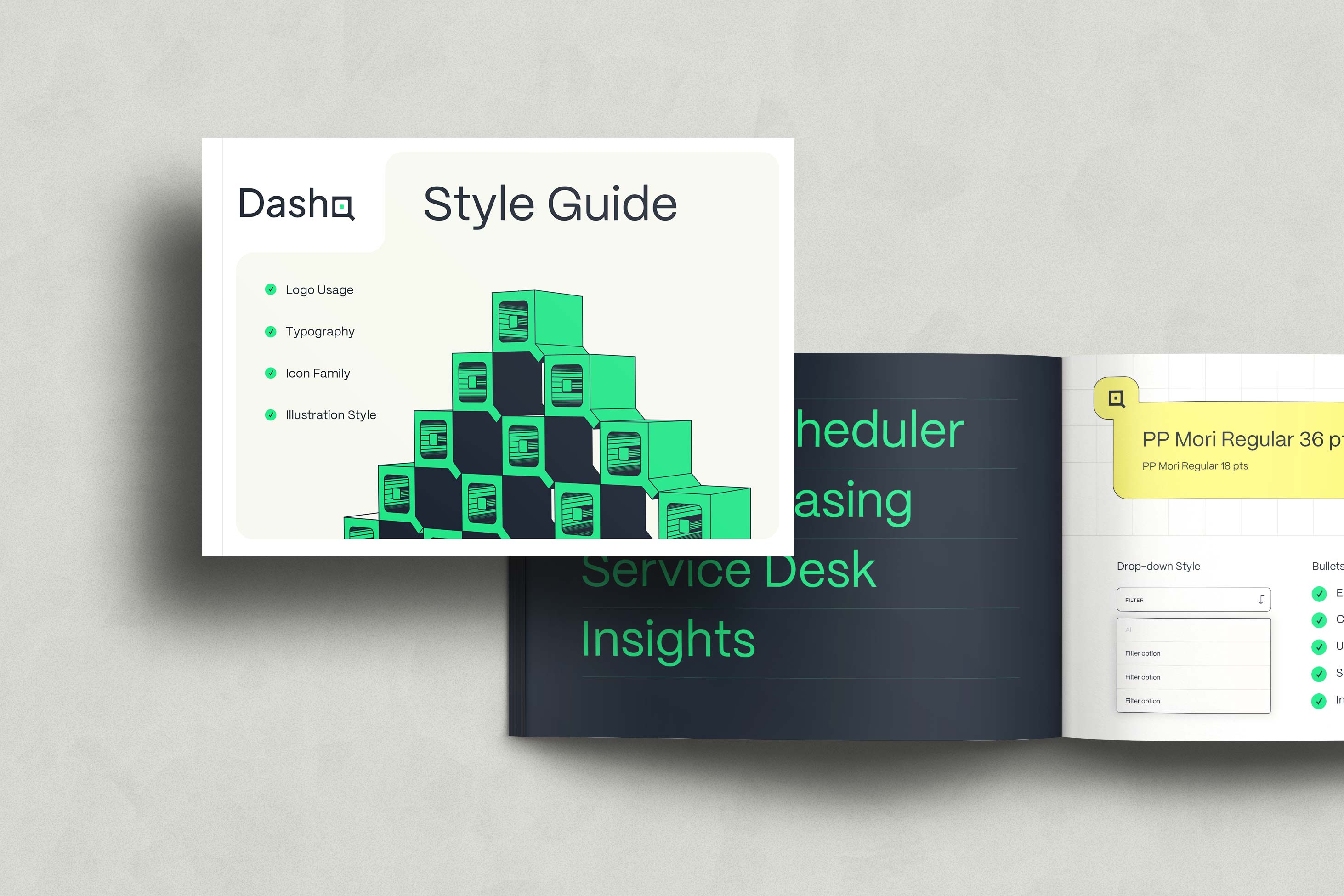 DashQ visual identity guide showing typography and brand color usage.