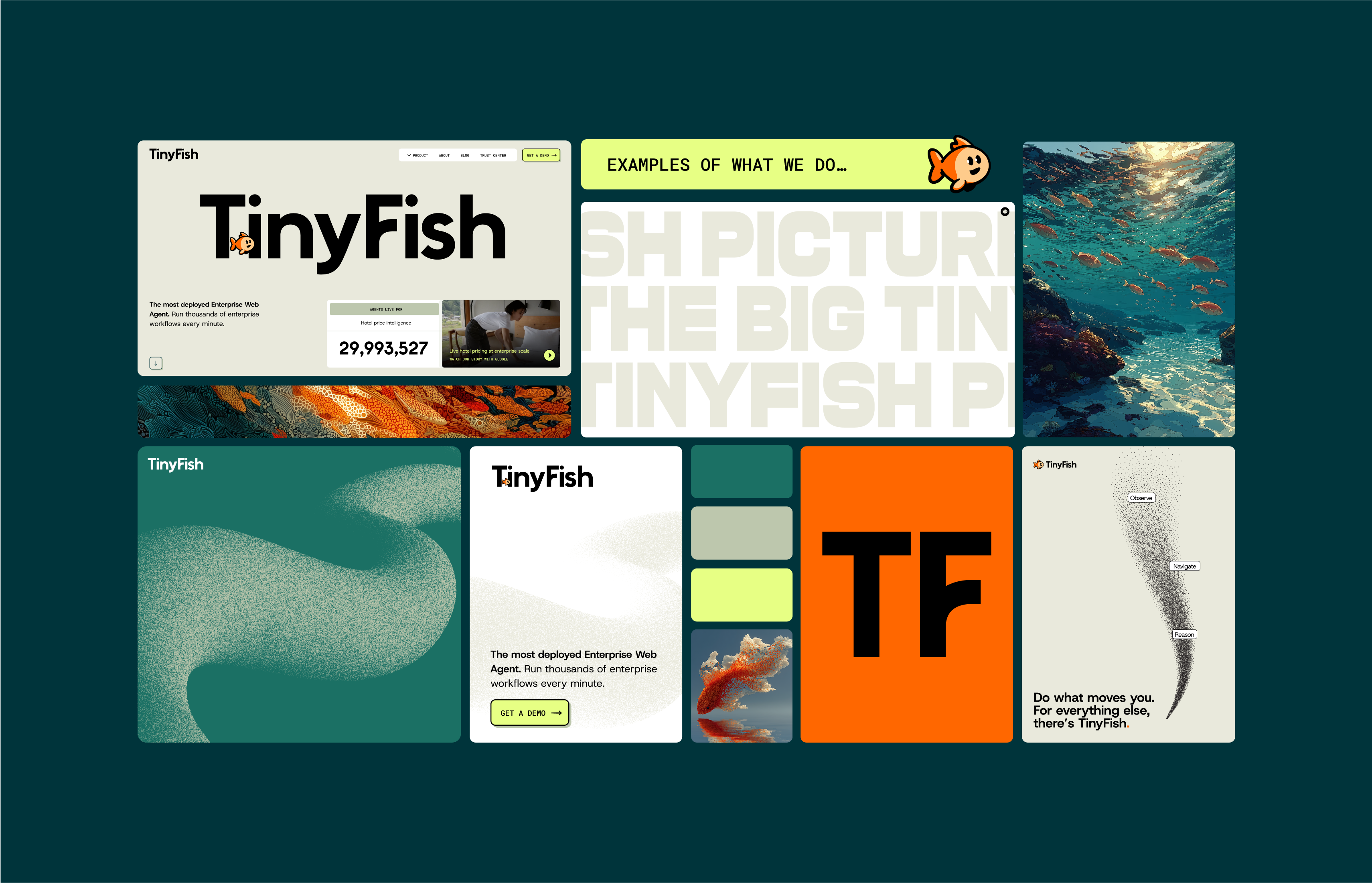 TinyFish brand style tiles and messaging displayed on a desktop monitor.