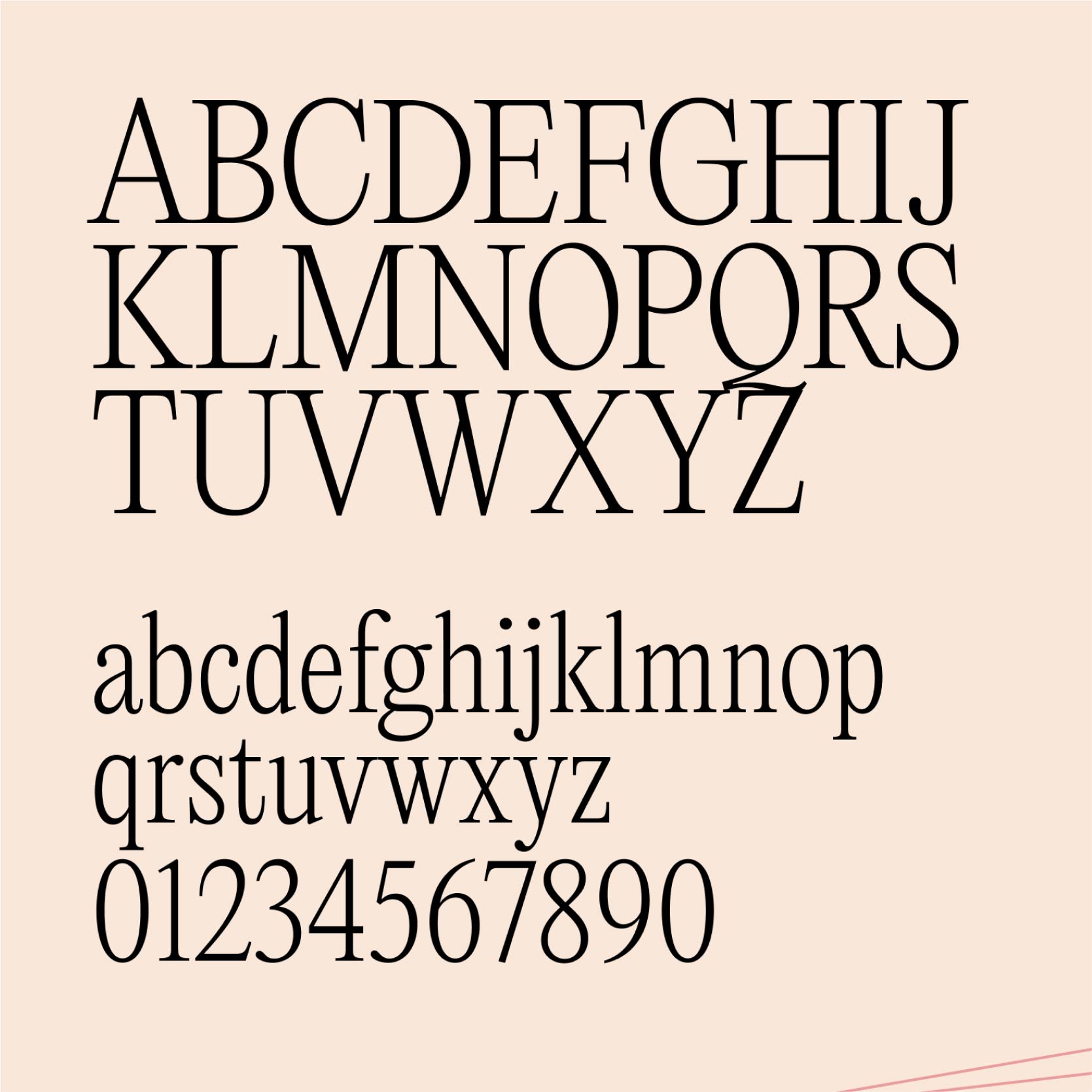 Suzy Welch alphabet style guide poster showcasing font variations.