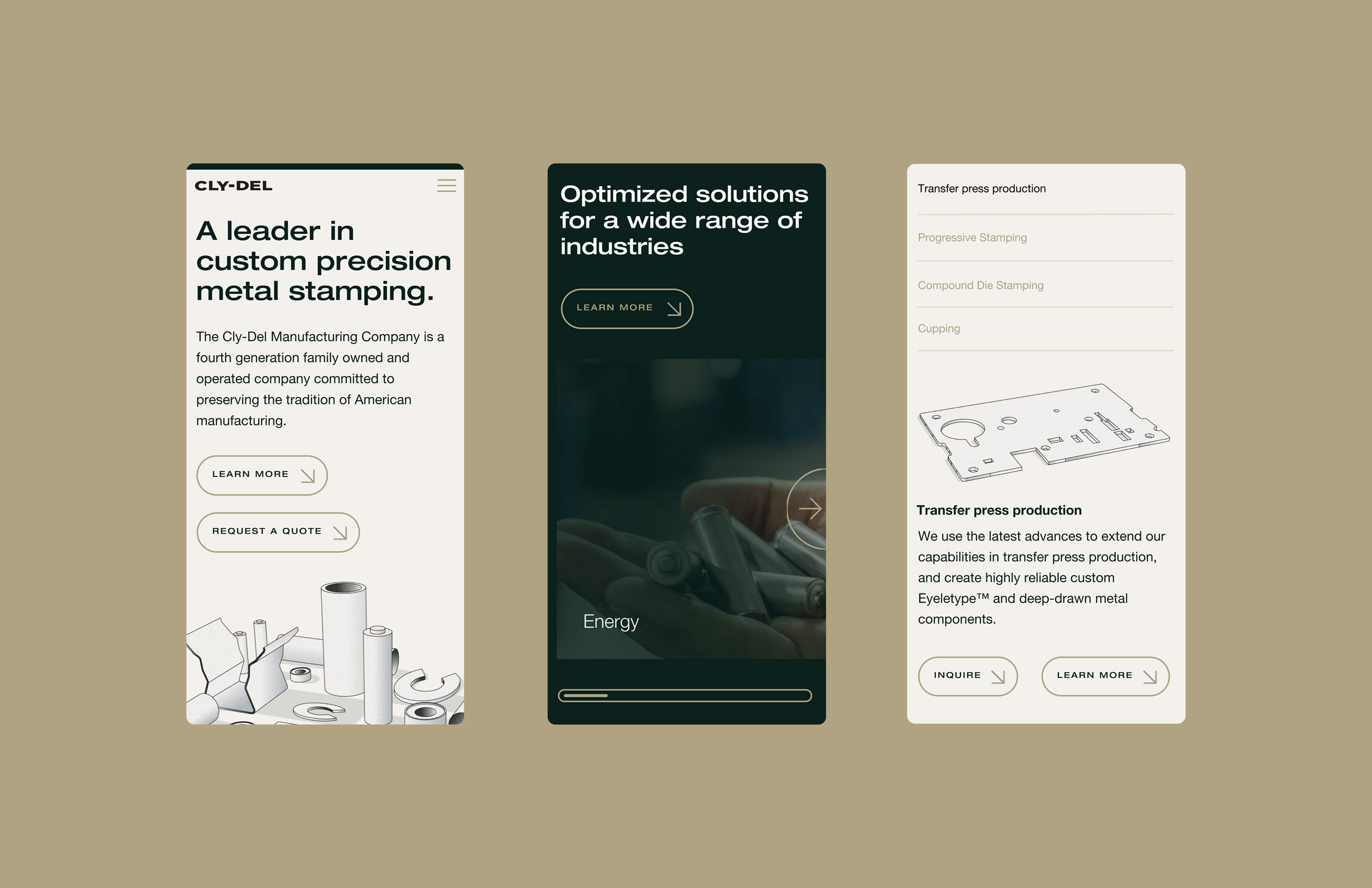 Cly-Del web layout with brand colors.