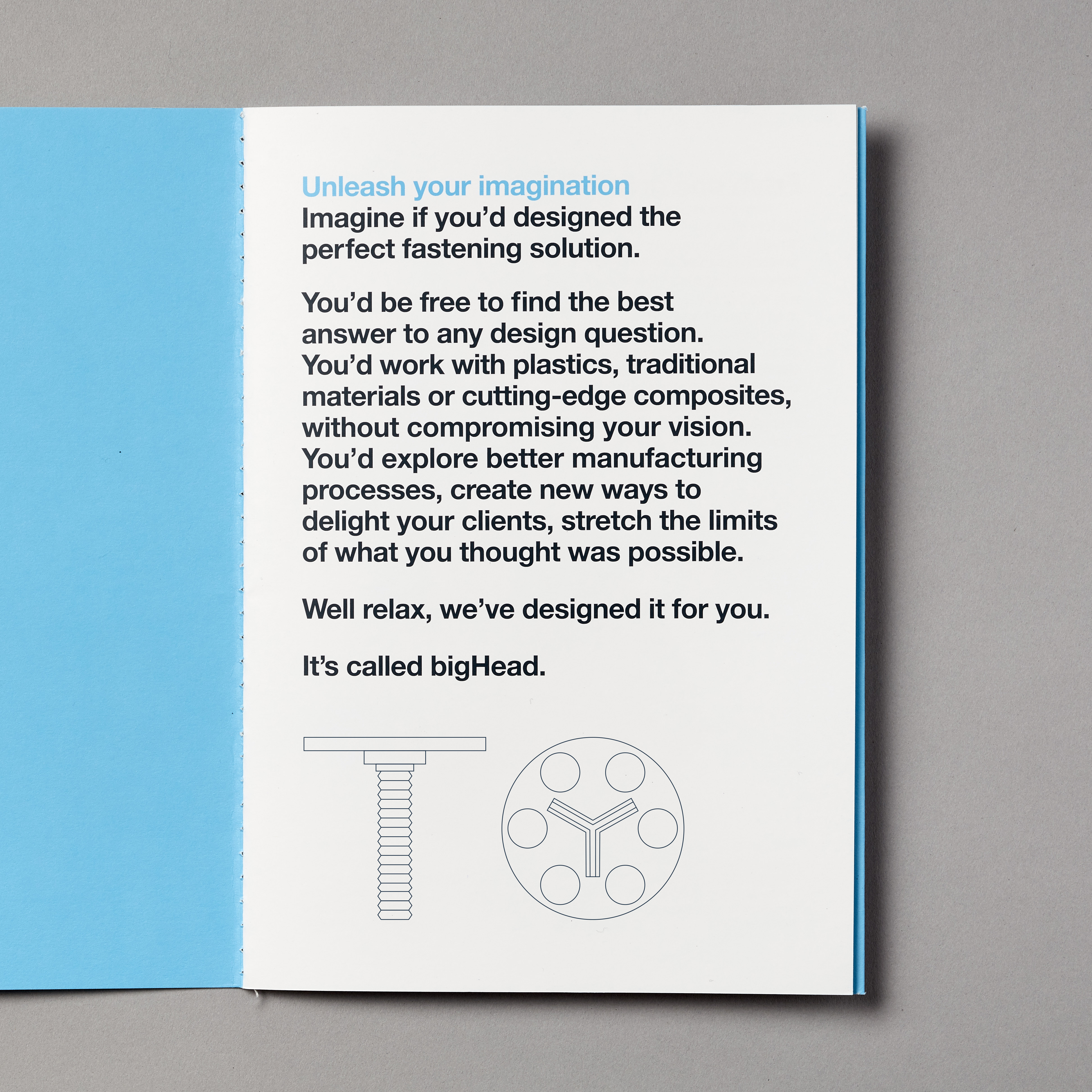 First page of brochure featuring dark blue copy introducing product and technical drawing of bighead, with bright blue front and back covers
