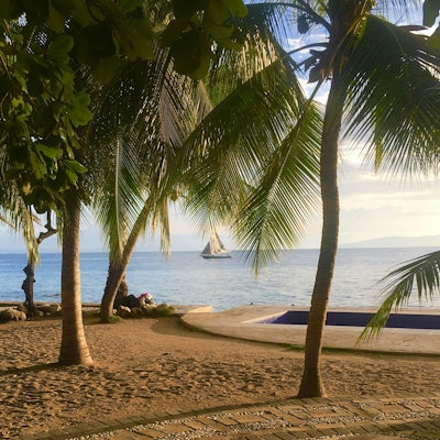 The Caribbean Banner