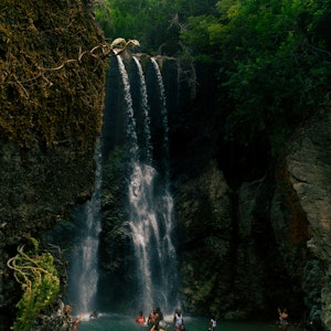 jamaica dunes falls