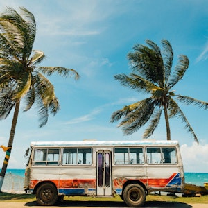 jamaica bus