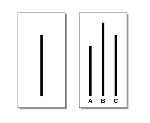 Graph 3