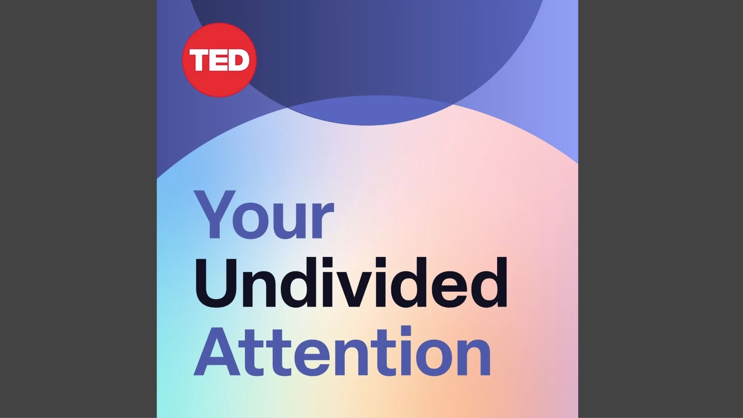 Your Undivided Attention