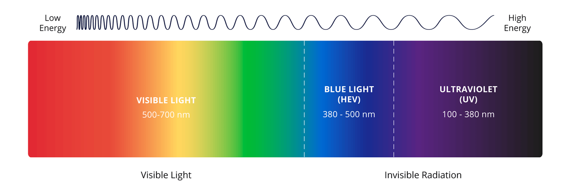 Blue Light Blocking Lenses Explained