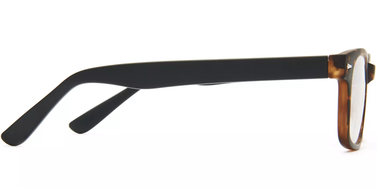 Phoenix glasses
