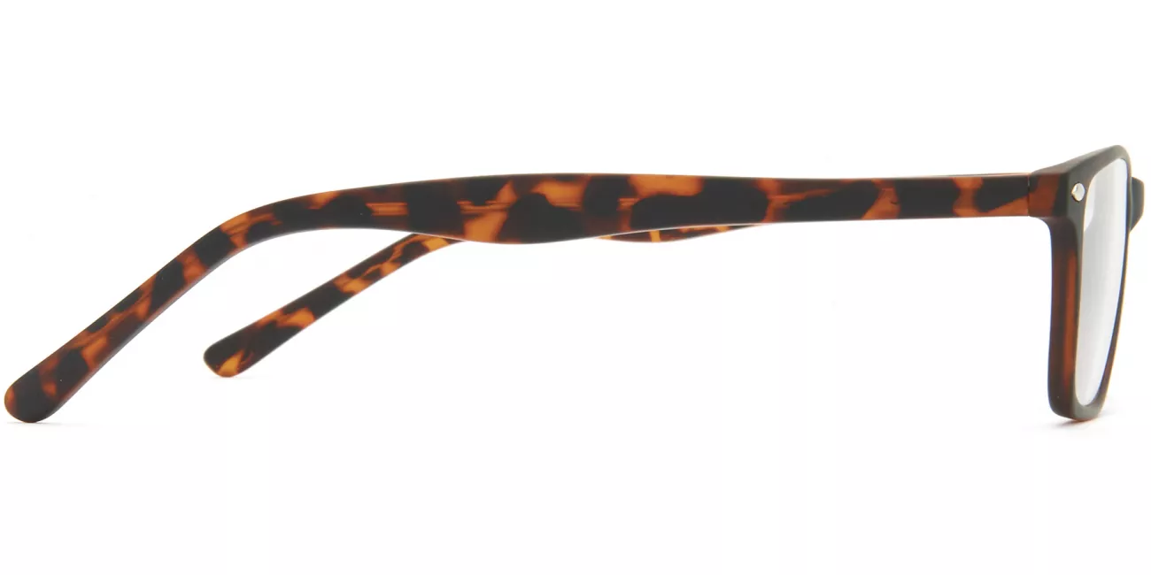 Regan glasses