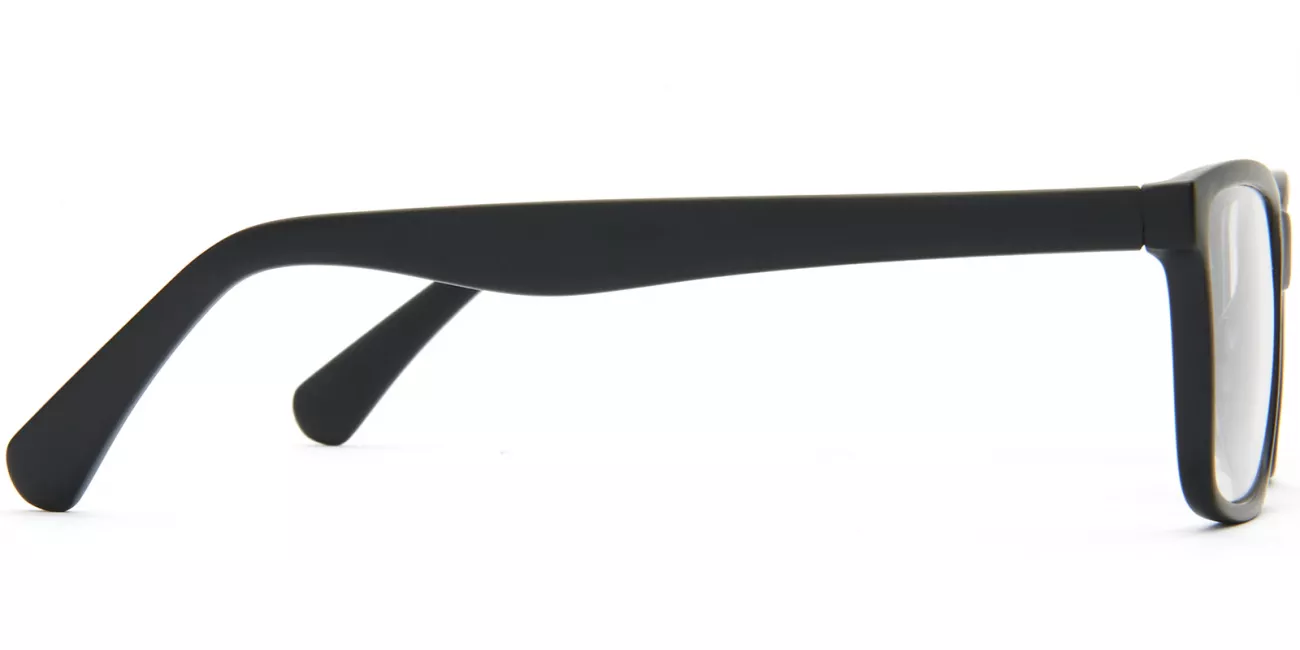 Alvie  glasses