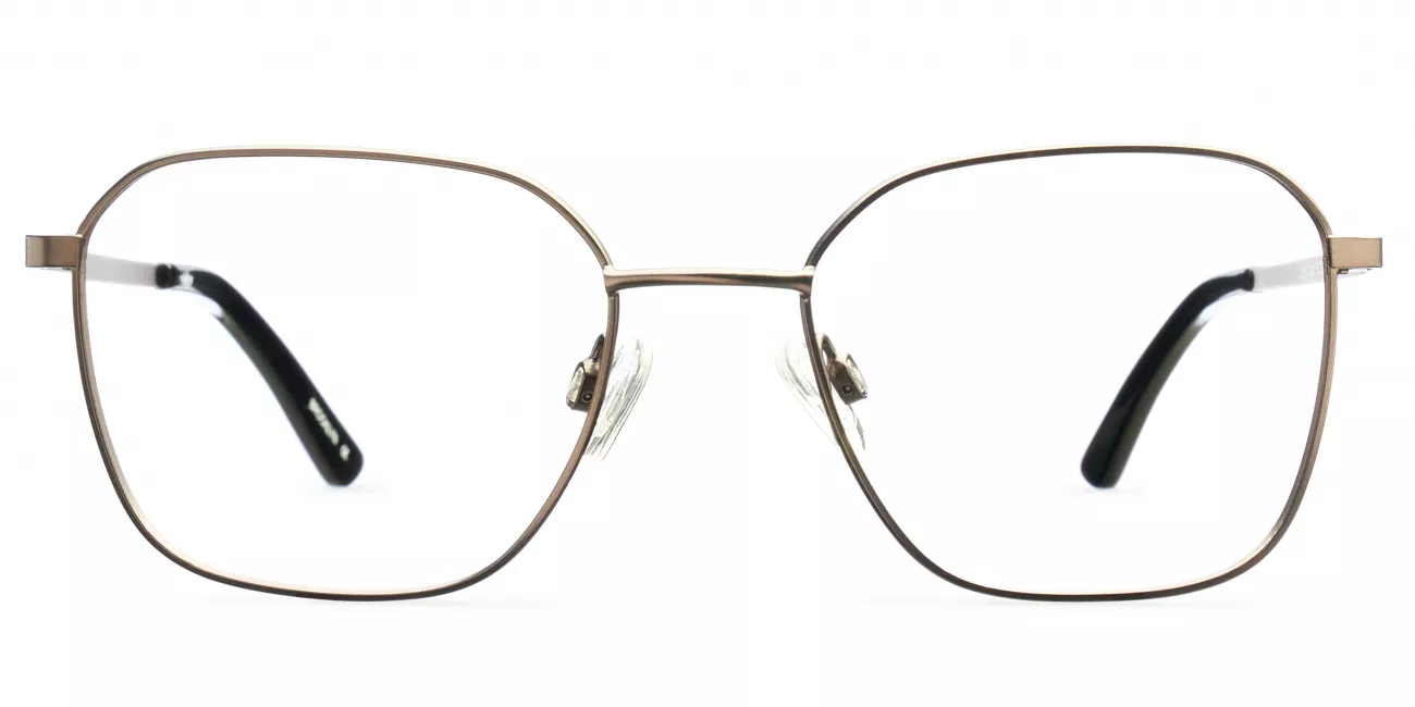 Anaya glasses