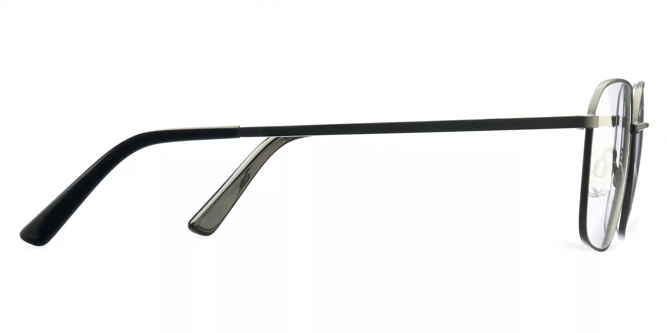 Anaya glasses