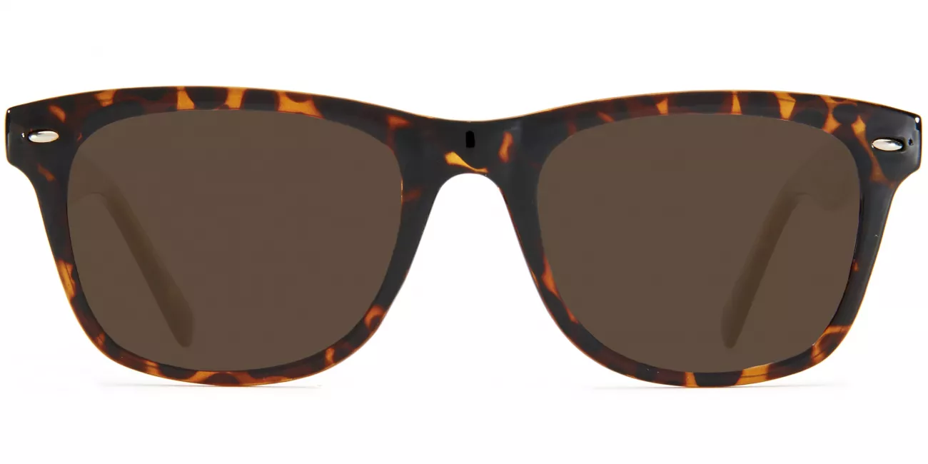 Asher glasses