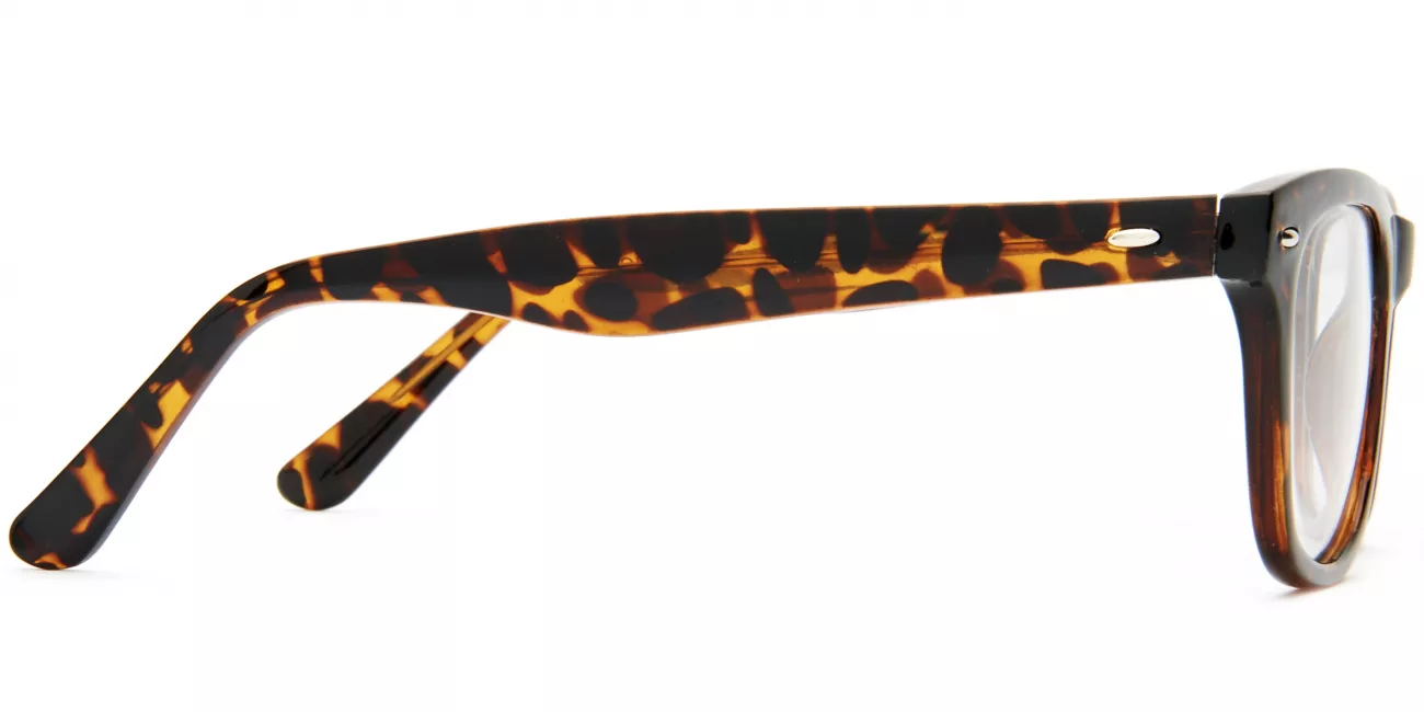 Asher glasses