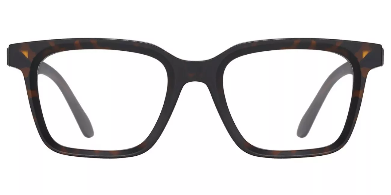 Carlo glasses