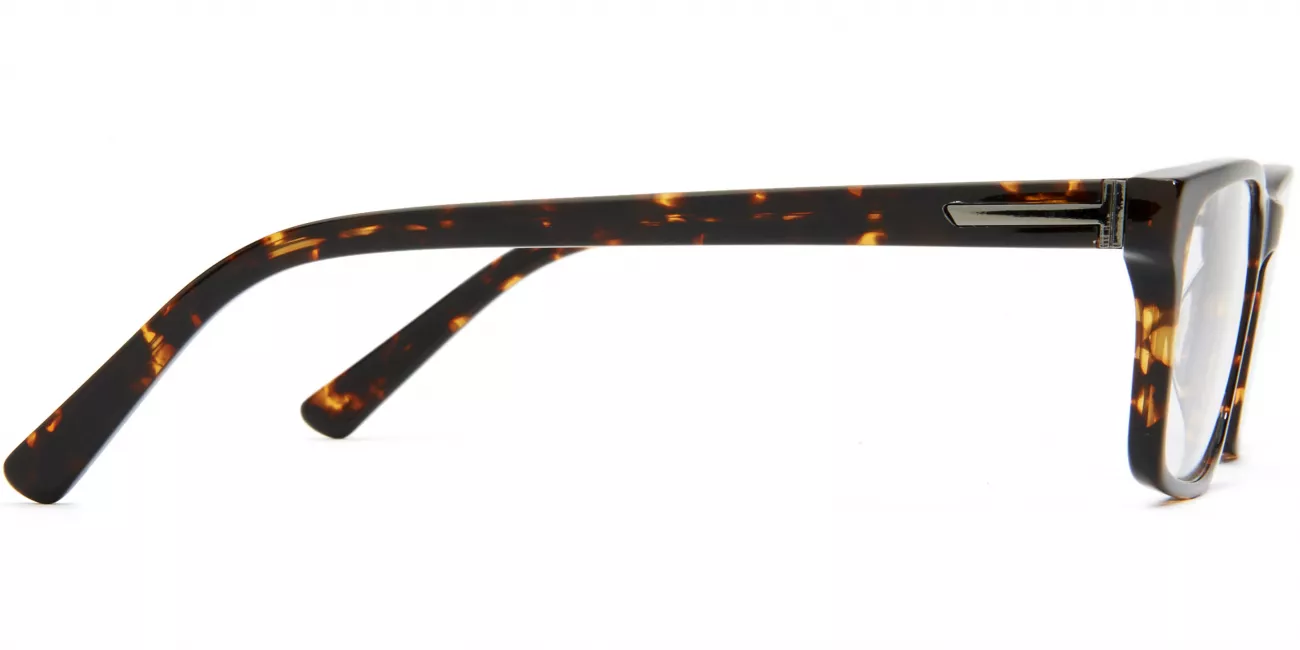 Carson glasses