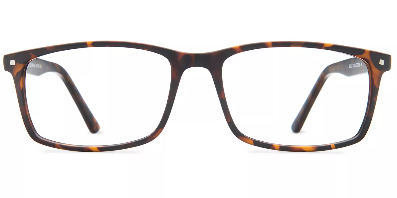Chester glasses