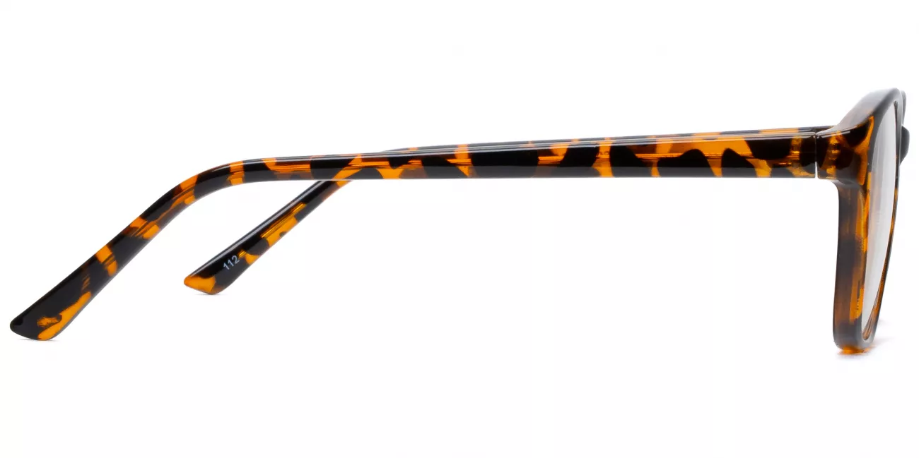 Clara glasses