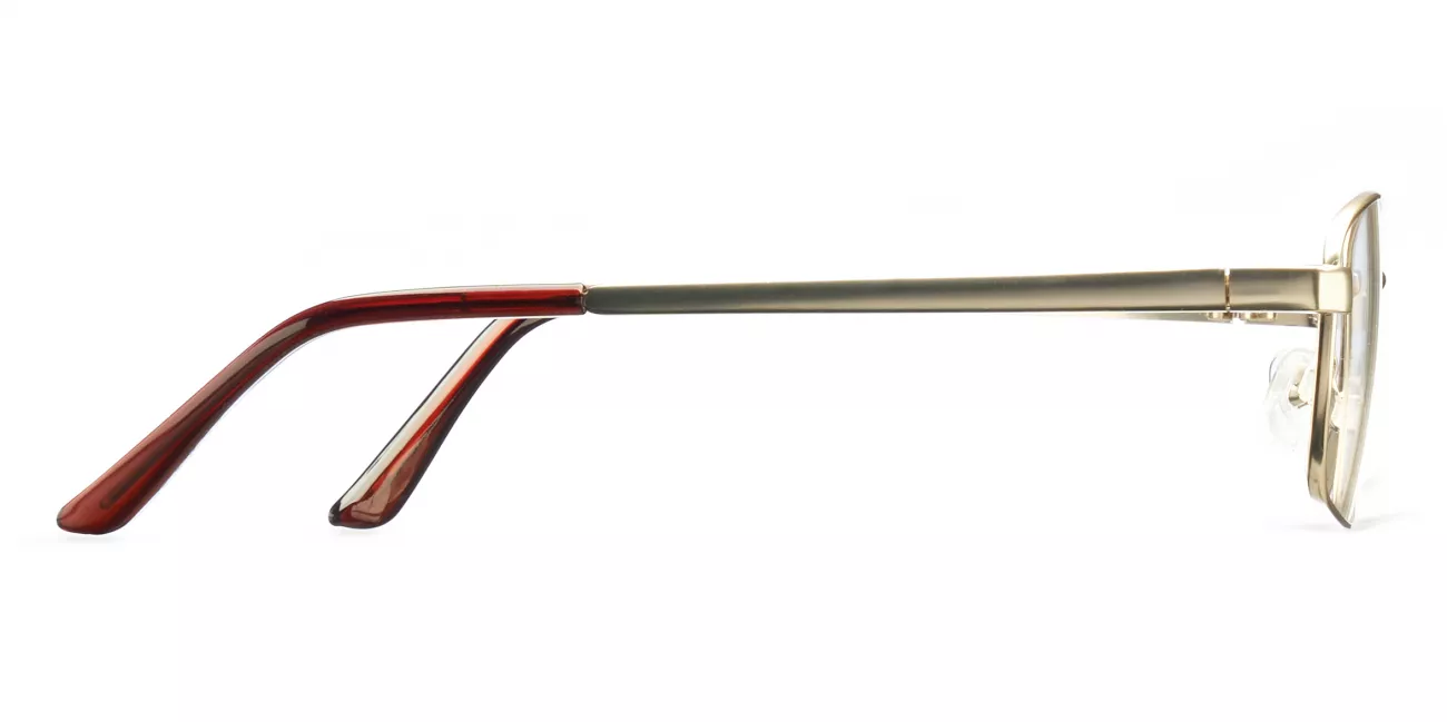 Danny glasses