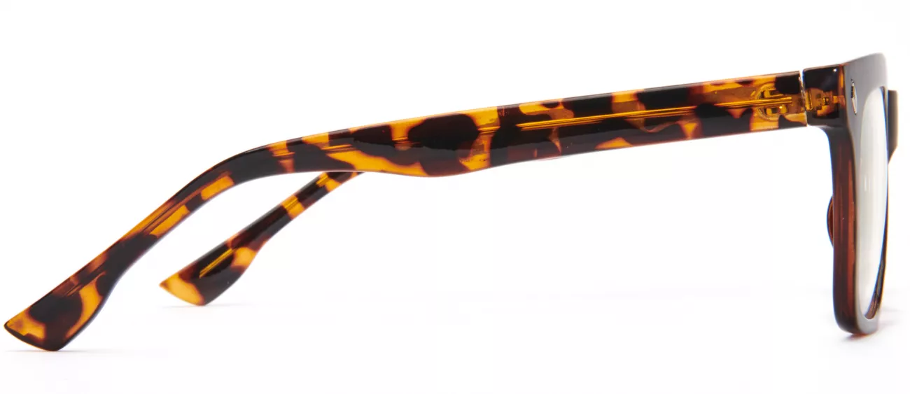 Douglas glasses