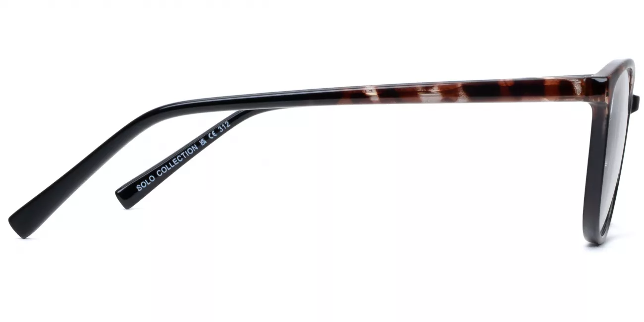 Echo glasses
