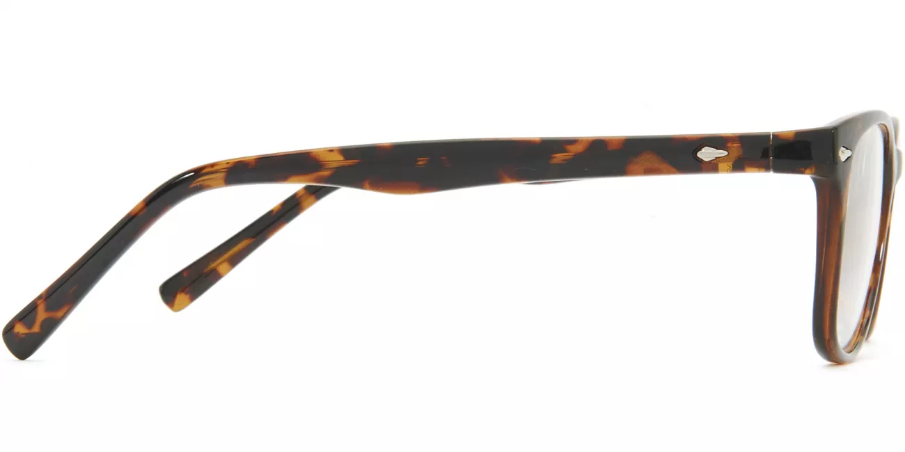 Frances glasses