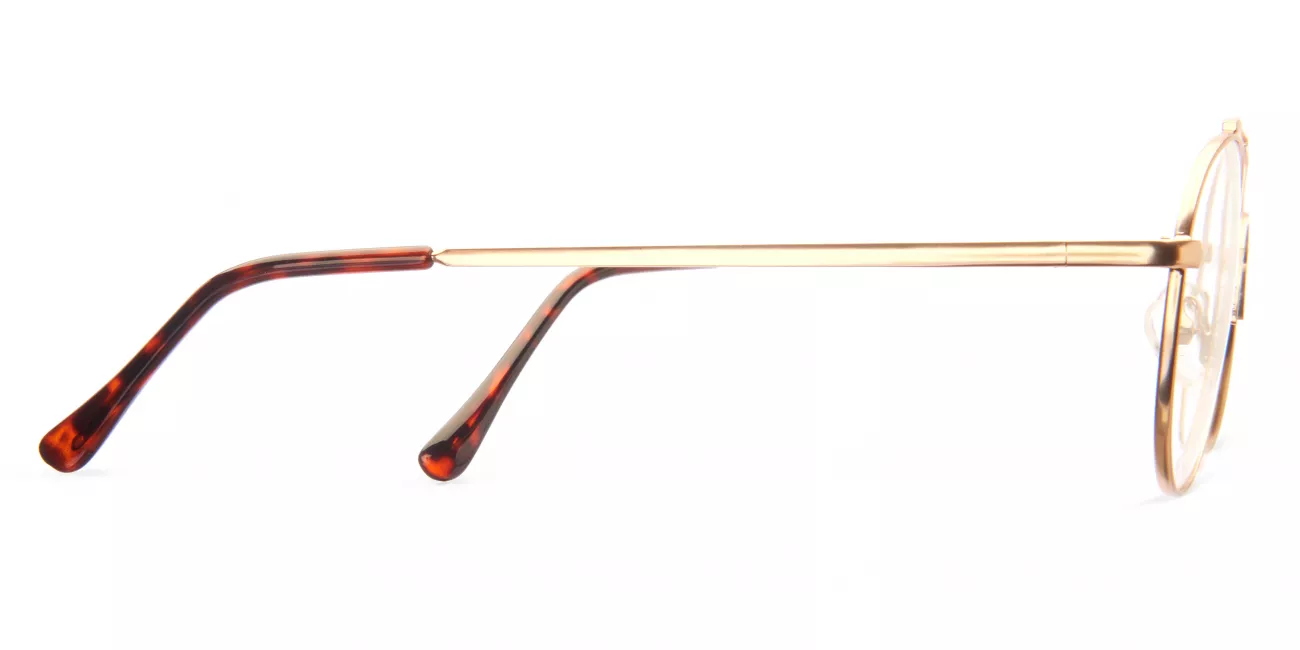 Gregory glasses