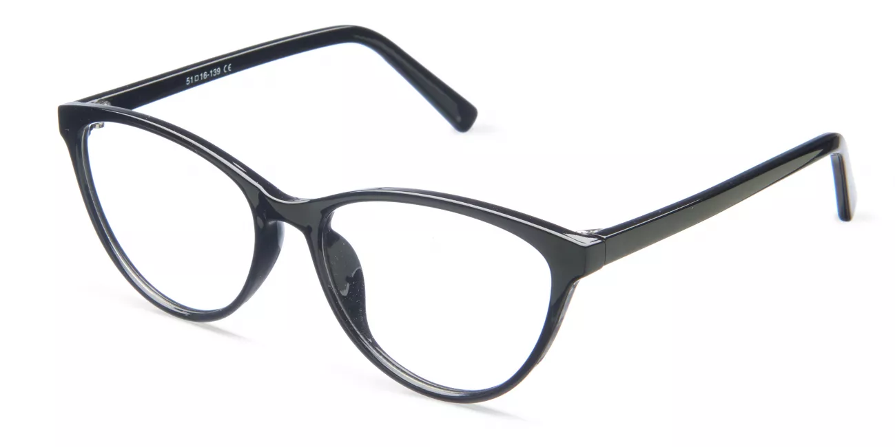 Hillary glasses