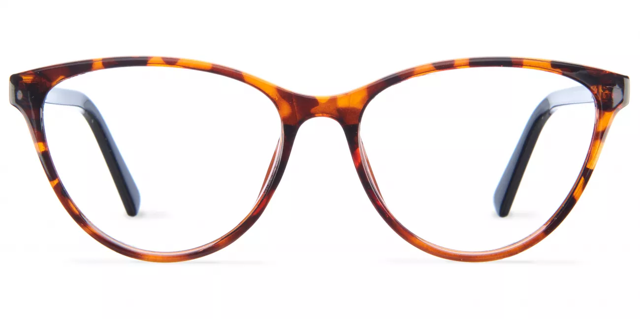Hillary glasses