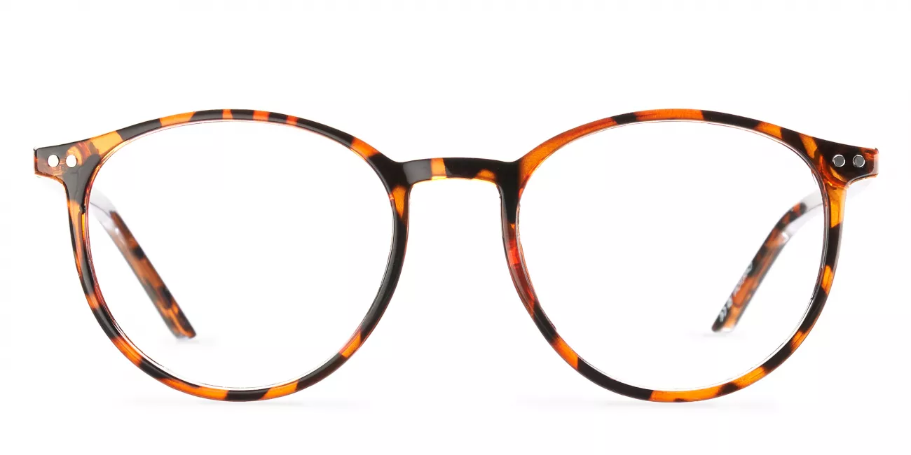 Hollie glasses
