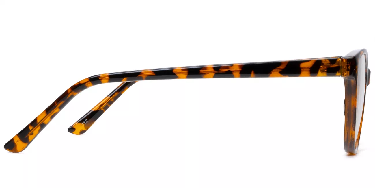Indra glasses