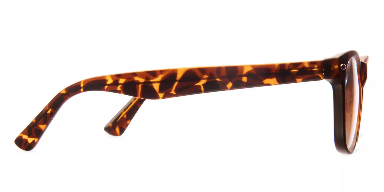 Jeff glasses