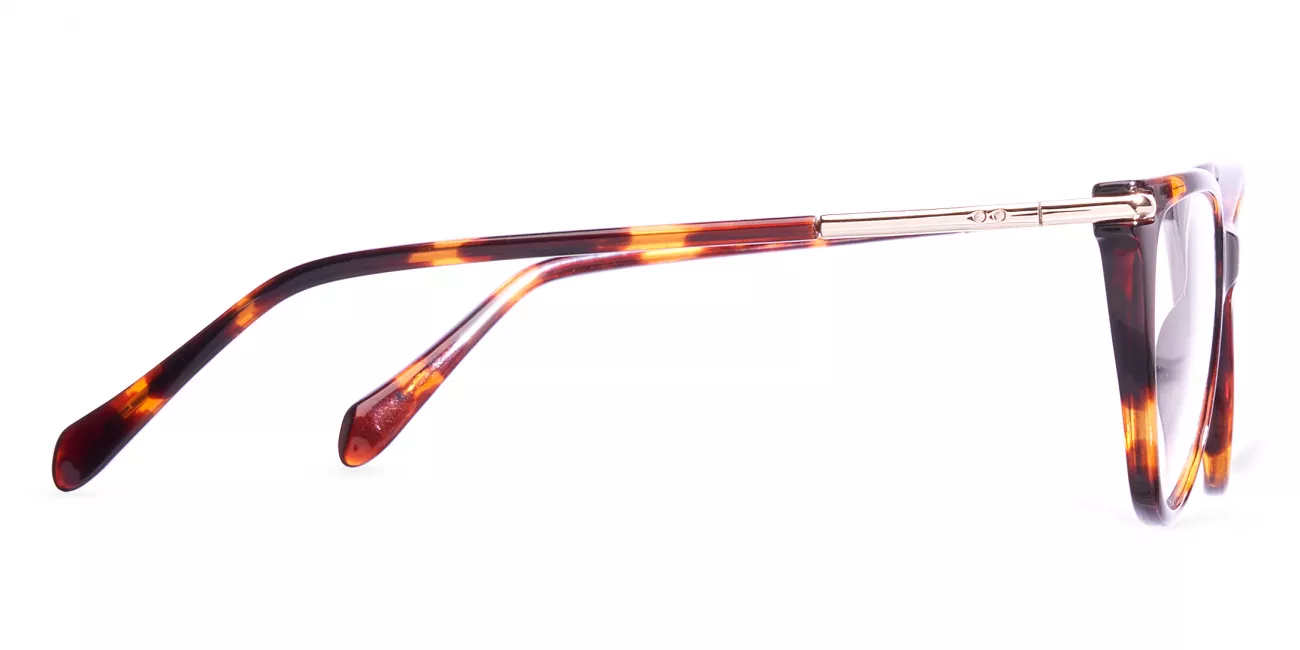 Joyce glasses