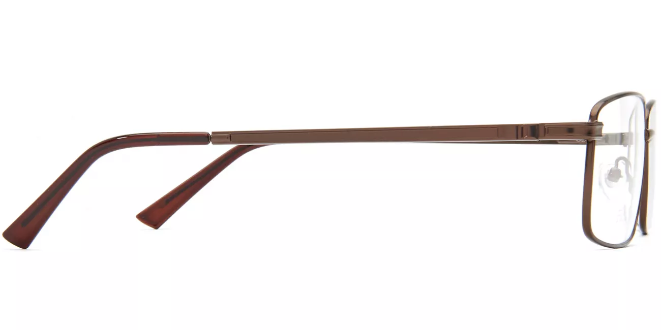 Maxwell  glasses