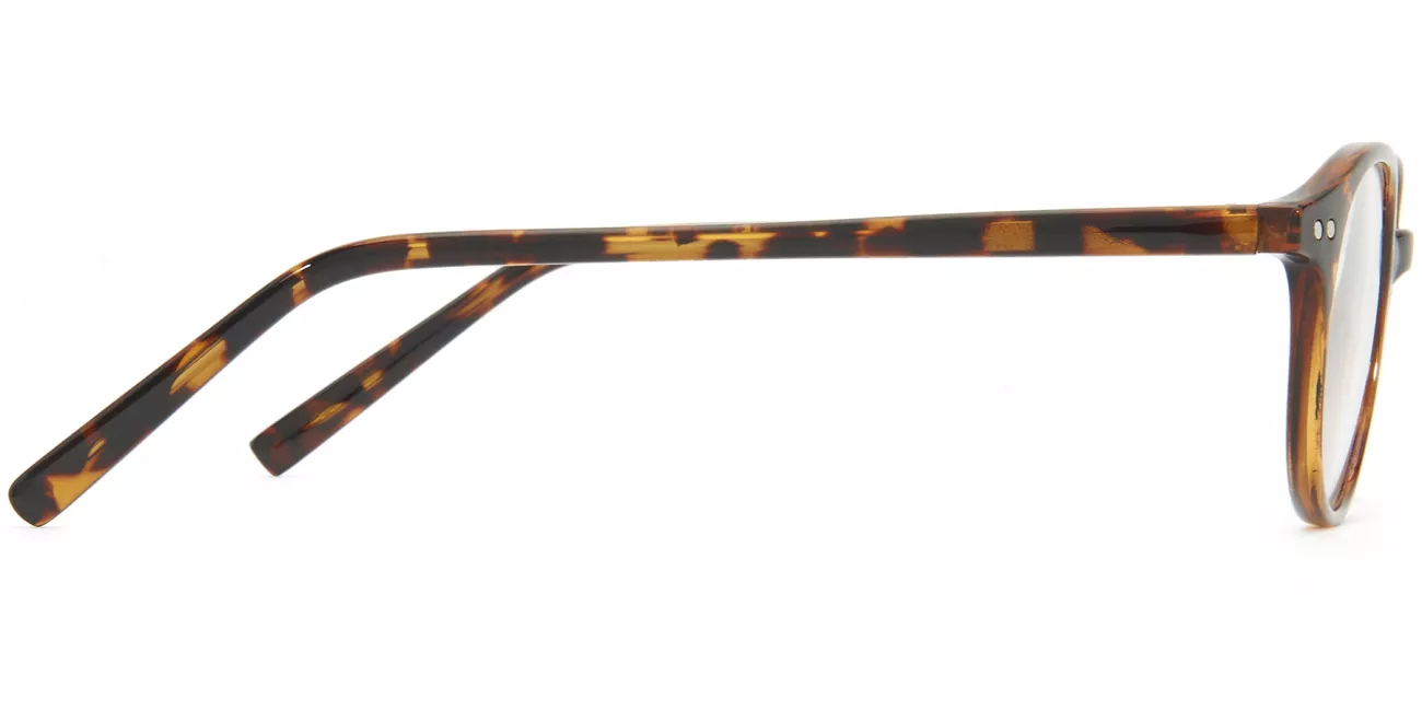 Melissa glasses