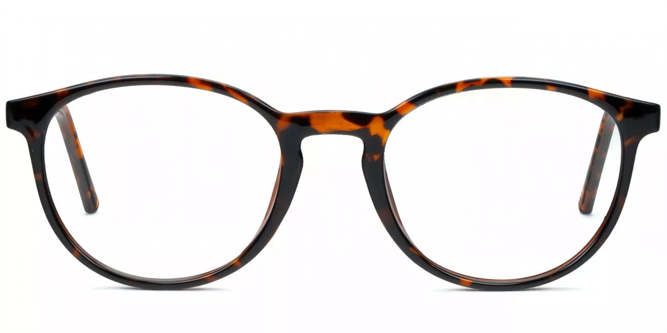 Mica glasses