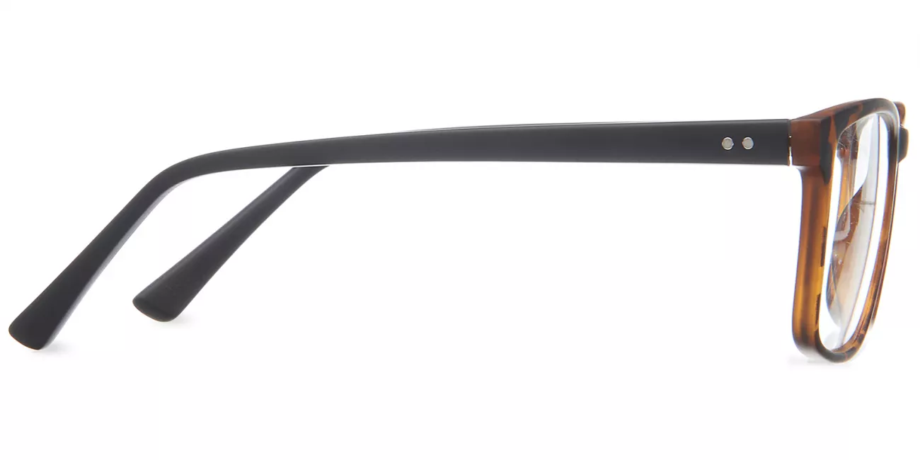 Ned glasses