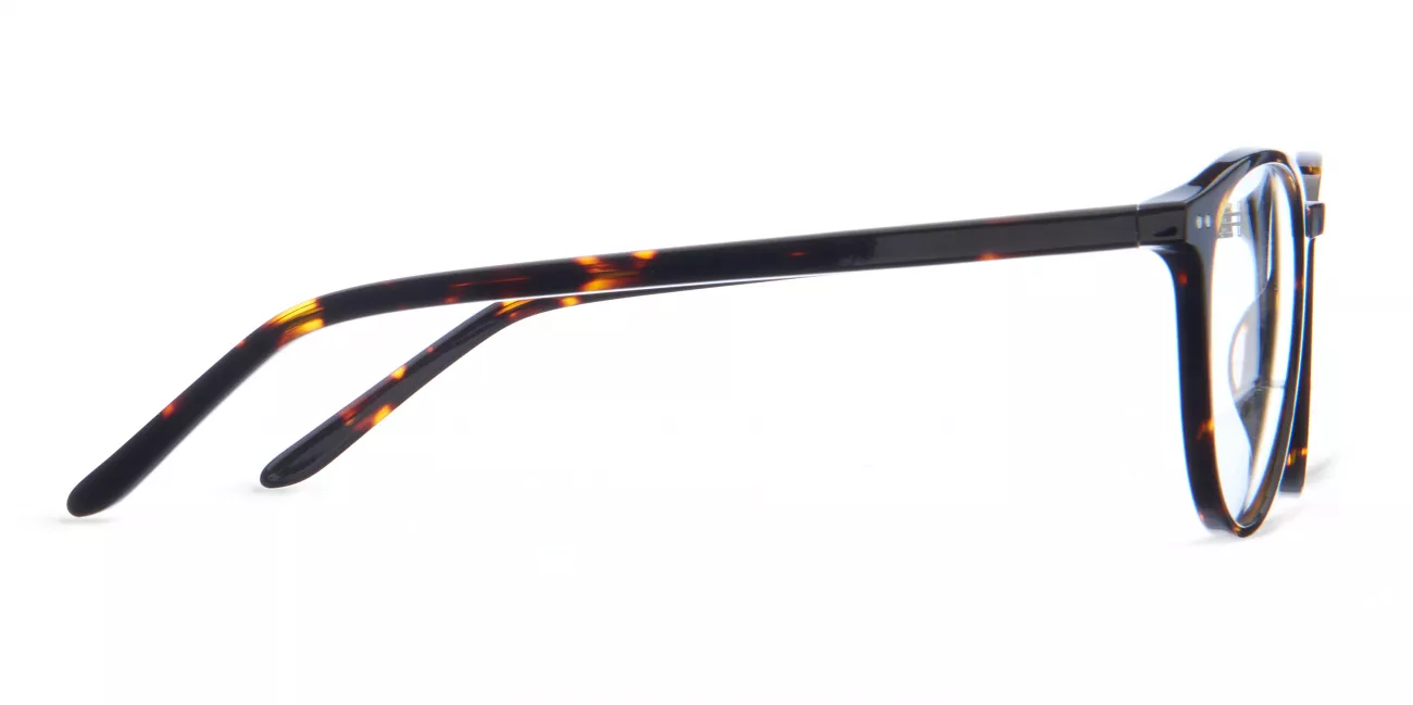 Nelly glasses