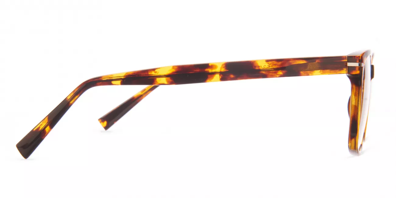 Noah glasses