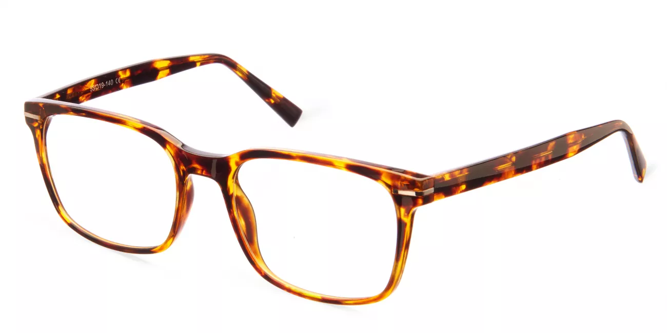 Noah glasses