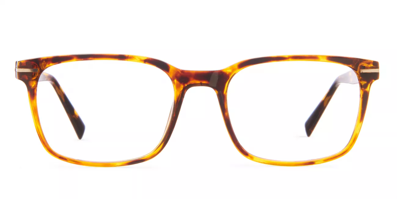 Noah glasses