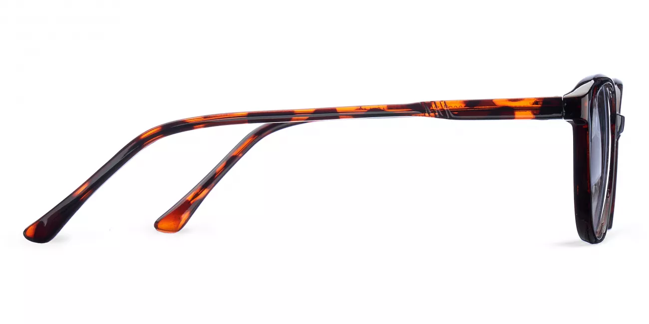 Robyn glasses