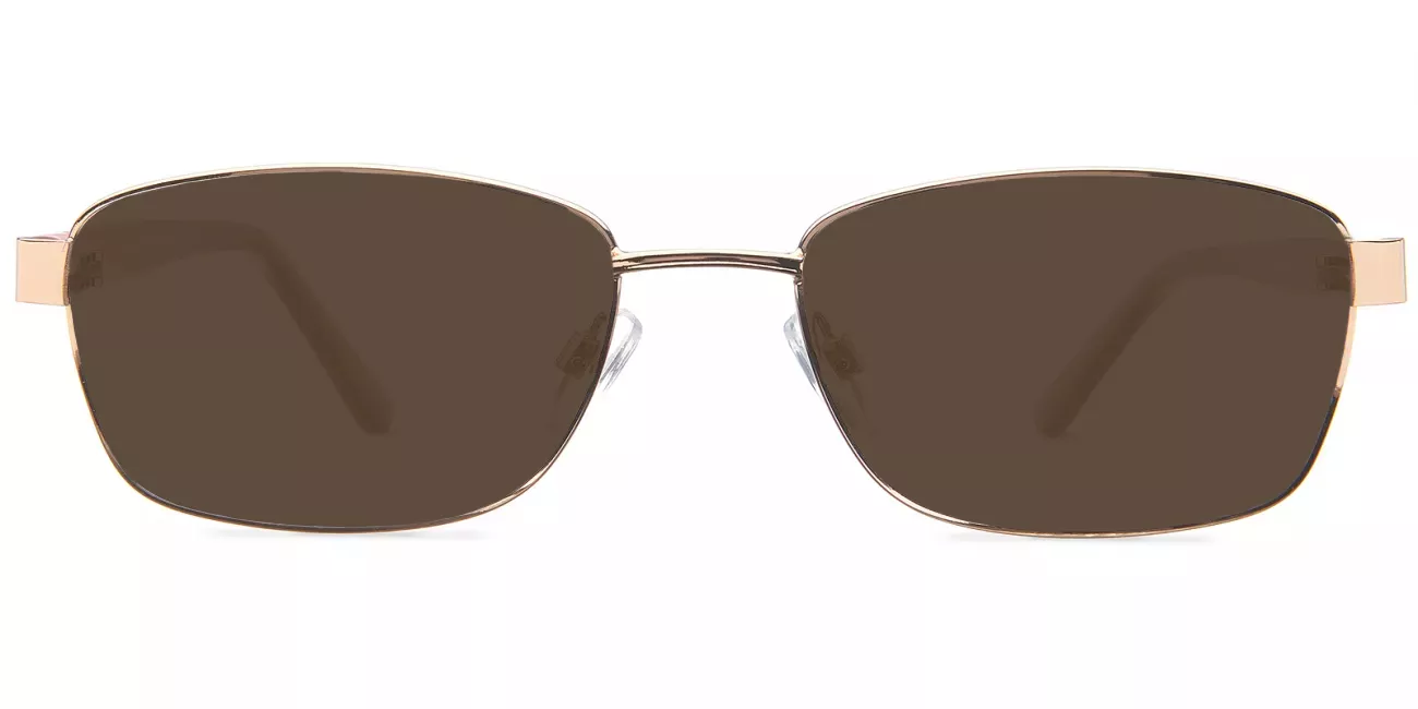 Stephanie glasses