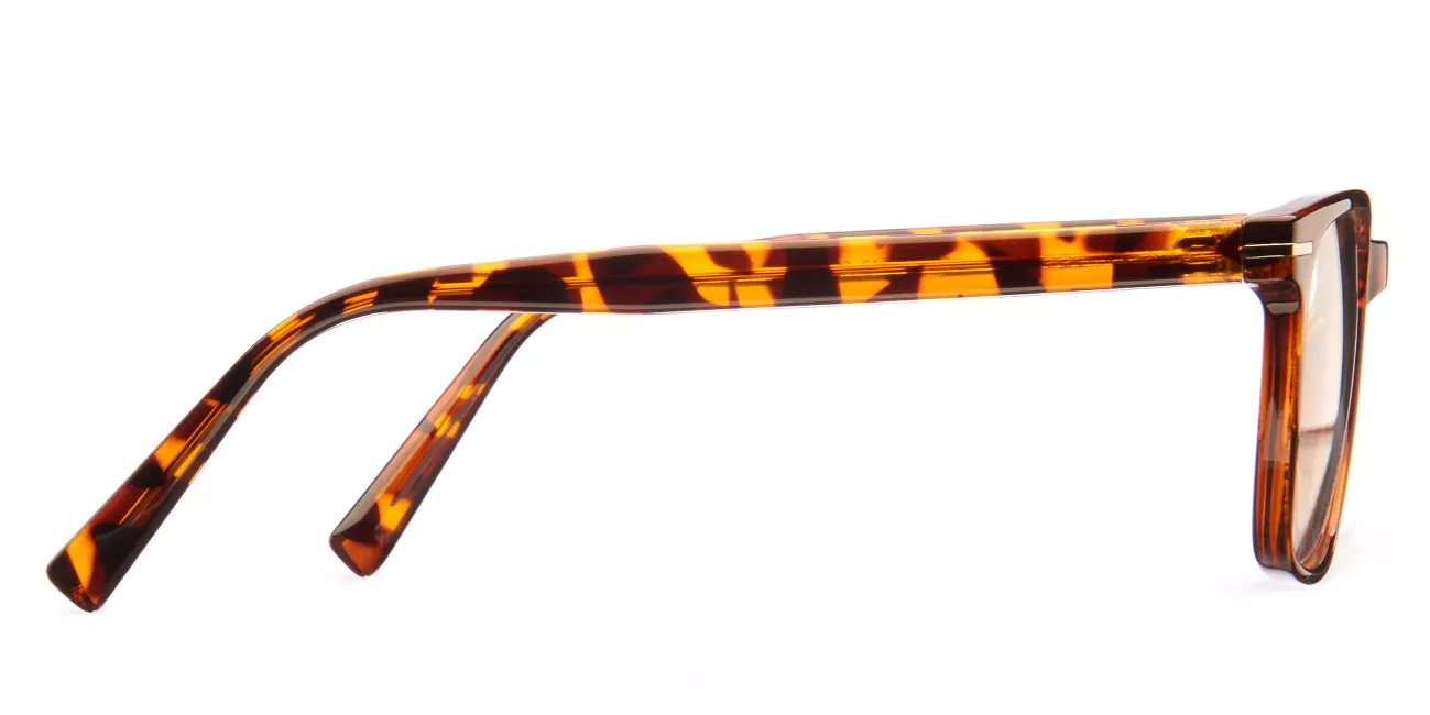 Storm glasses
