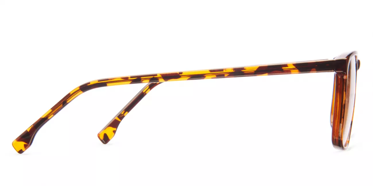 Teagan glasses