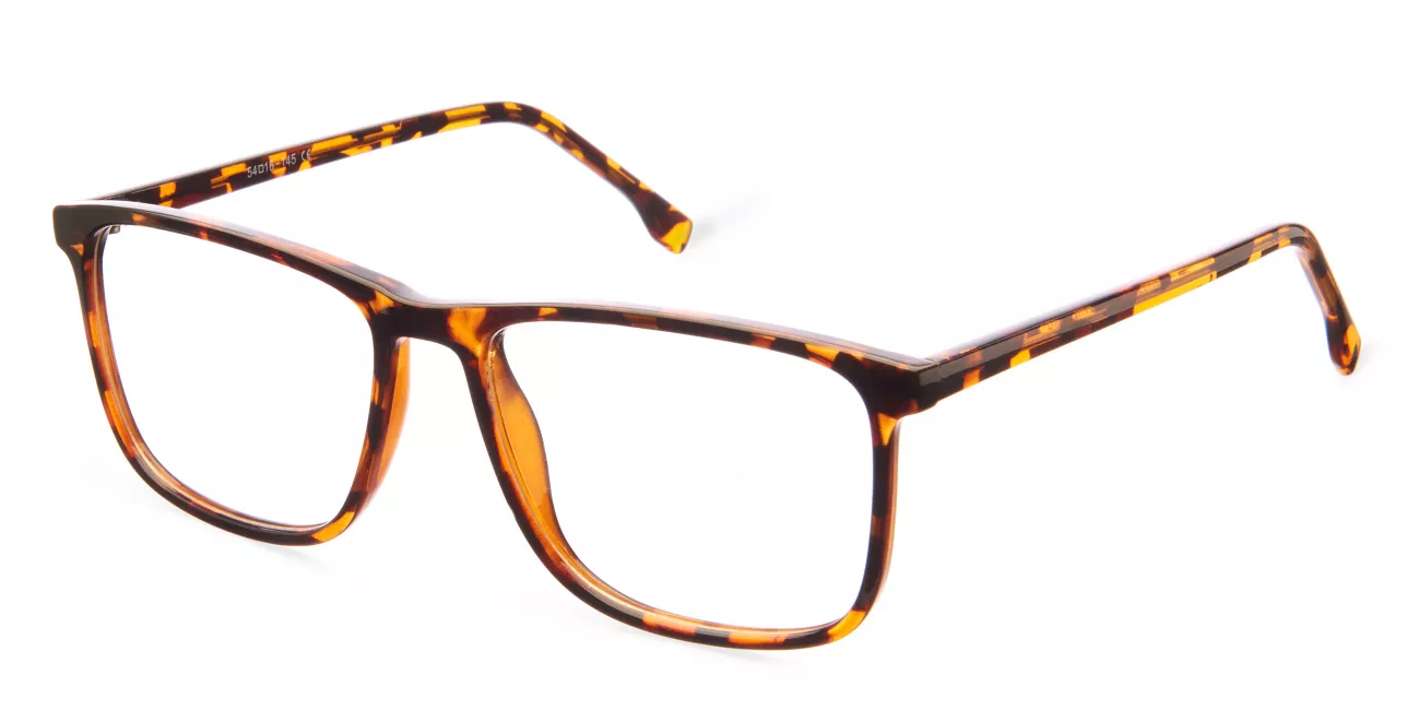 Teagan glasses